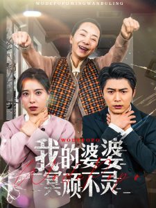 我的婆婆冥顽不灵海报