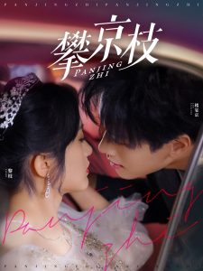 攀京枝80集海报