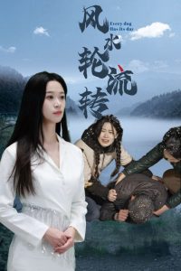 风水轮流转海报