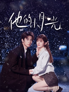 他的小月光海报