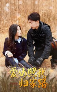 爱女照我归家路海报