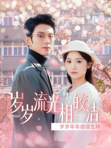 岁岁流光相皎海报