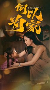 何以为家36集海报