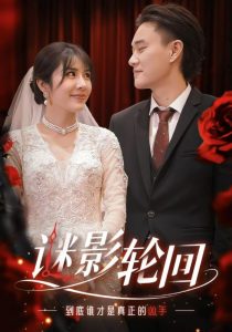 迷影轮回海报