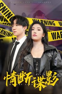 情断谍影&我的特工老婆海报