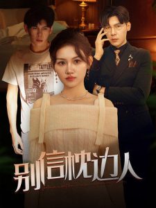 别信枕边人海报