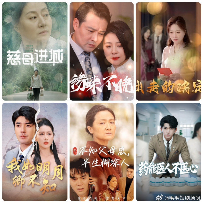 我如明月卿不知海报