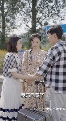 乡间幸福往事海报