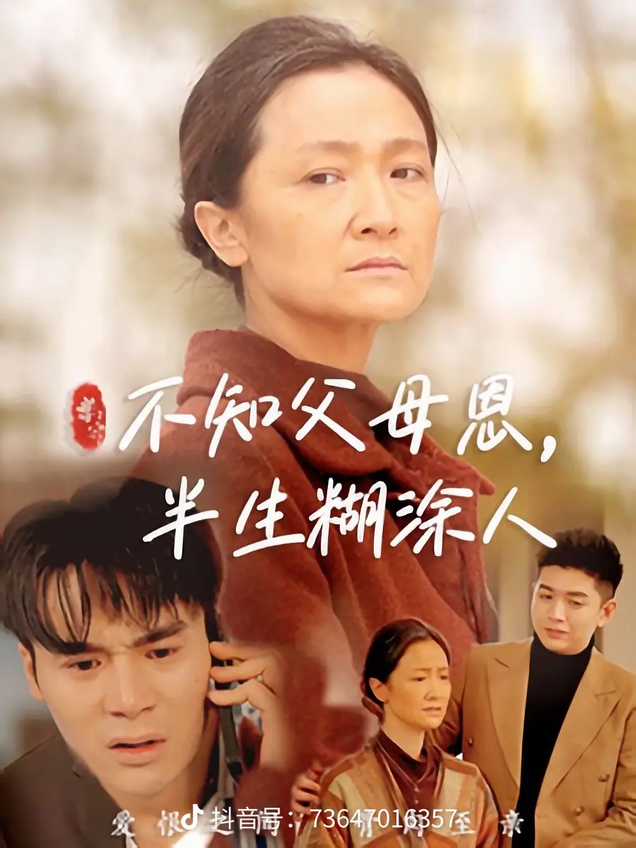 不知父母恩，半生糊涂人海报