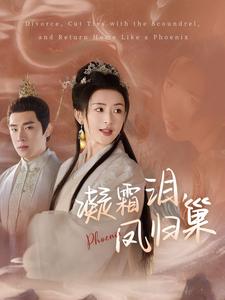 凝霜泪凤归巢海报