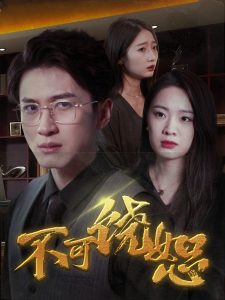 不可饶恕短剧海报