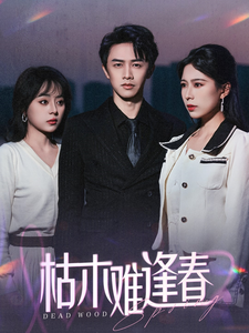 枯木难逢春海报