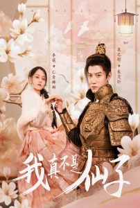 我真不是仙子海报