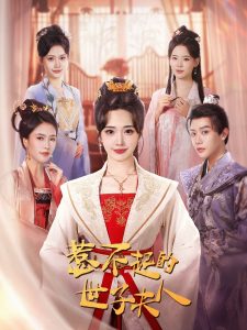 惹不起的世子夫人海报