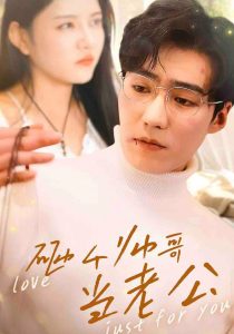 砸个帅哥当老公海报