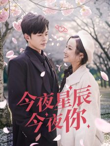 今夜星辰今夜你海报