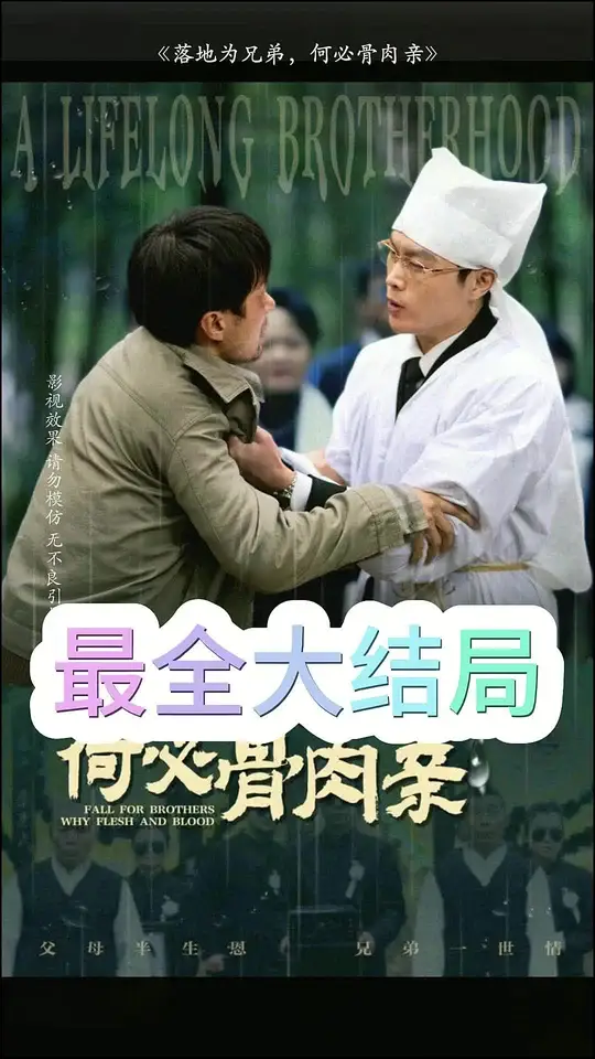 落地为兄弟，何必骨肉亲海报