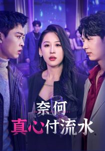 奈何真心付流水海报