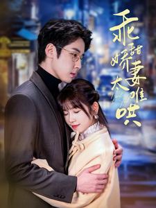 乖甜娇妻太难哄海报