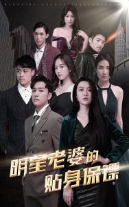 明星老婆的贴身保镖海报