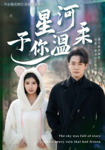 星河予你温柔海报