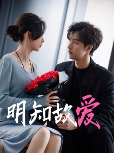 明知故爱海报