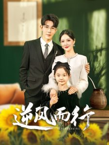 逆风而行海报