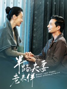 半路夫妻老来伴海报