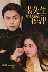 裴先生他每天都在捂马甲海报