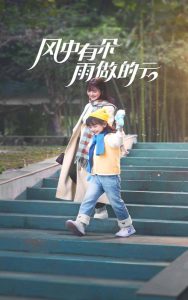 风中有朵雨做的云短剧海报
