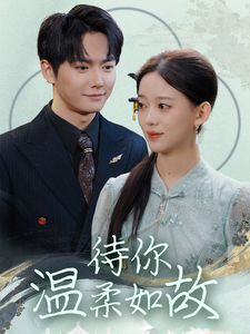 待你温柔如故海报