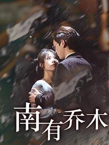 南有乔木短剧海报
