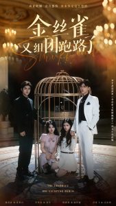 金丝雀又组团跑路了海报