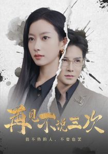 再见不说三次海报