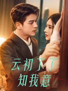 云初了了知我意海报