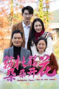 簕杜鹃花朵朵开海报