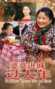 婆婆进城过大年海报