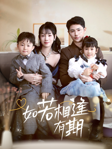 如若相逢有期海报