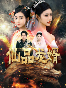 仙品龙婿海报