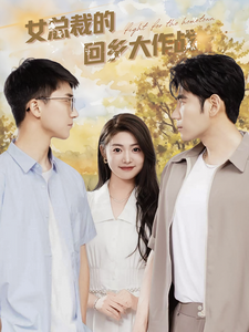 女总裁的回乡大作战海报