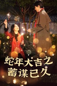 新年之假戏真做海报