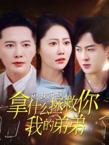 拿什么拯救你我的弟弟海报