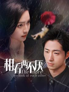 相看两不厌海报