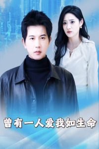 曾有一人爱我如生命海报