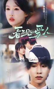 看不见的爱人海报