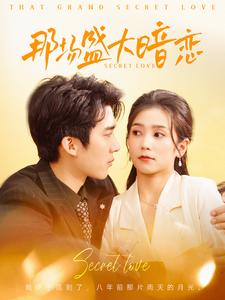 那场盛大暗恋海报
