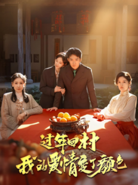 过年回村我的爱情变了颜色海报