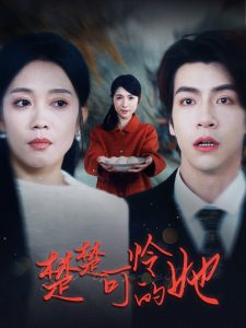 楚楚可怜的她海报