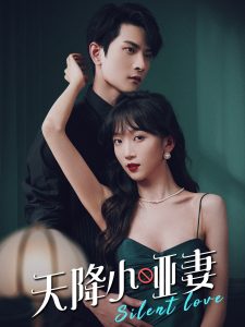 天降小哑妻海报