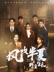 风吹半夏之野蛮生长海报